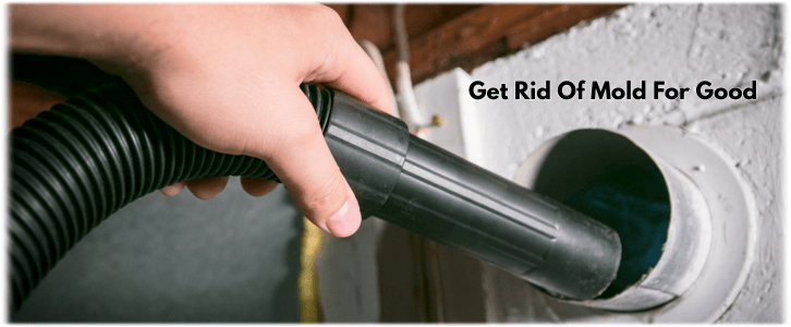 Air Duct Mold Removal in Garland TX